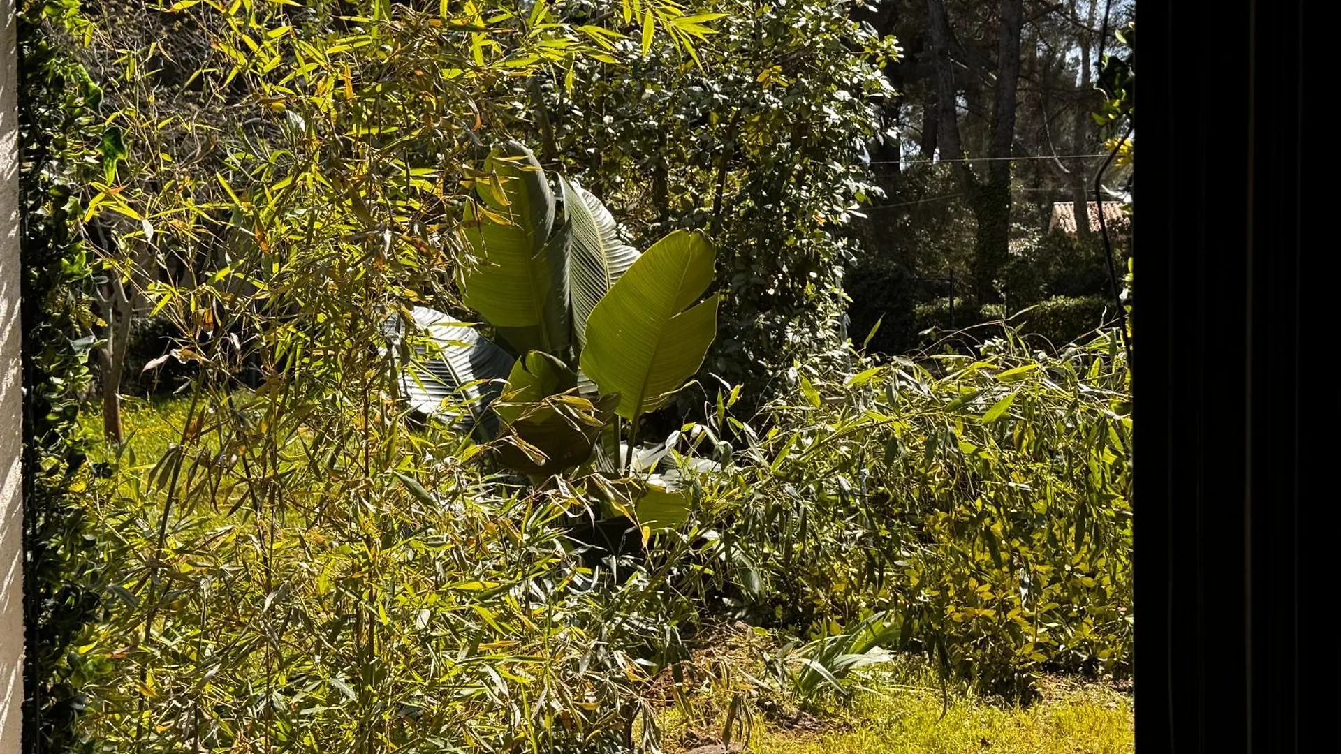 Petite Maison Entre Mer Et Foret En Pleine Nature 锡富尔勒普拉日